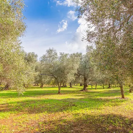 בית נופש Il Trullo Della Quercia