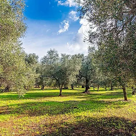 Il Trullo Della Quercia Nyaraló